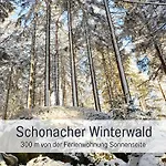 Sonnenseite Schonach - Private Infrarot-sauna - Ruhige Schwarzwald-ferienwohnung Nahe Triberg - 2 Schlafzimmer Auf 2 Etagen - Balkon Mit Weitblick - Bis 4 Gaeste - Parkplatz Apartmán Schonach im Schwarzwald