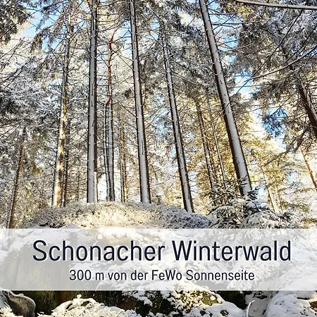 Sonnenseite Schonach - Fuer Paare Und Ruhesuchende - Private Infrarotsauna - 2 Sz - Kueche Mit Spuelmaschine Und Mikrowelle - 300 M Zum Waldrand - Parkplatz Direkt Am Haus סכונאץ'