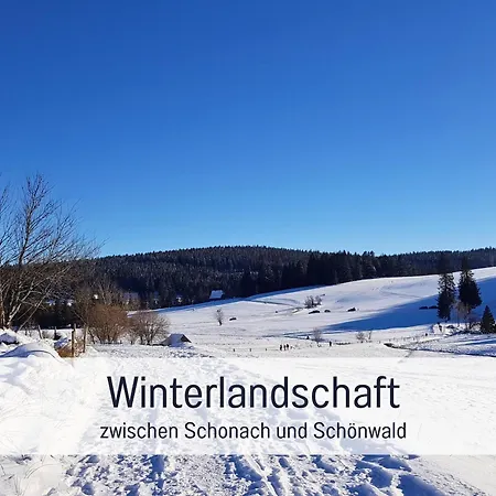 Sonnenseite Schonach - Fuer Paare Und Ruhesuchende - Private Infrarotsauna - 2 Sz - Kueche Mit Spuelmaschine Und Mikrowelle - 300 M Zum Waldrand - Parkplatz Direkt Am Haus דירה