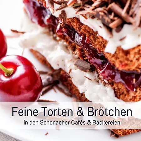 דירה Sonnenseite Schonach - Fuer Paare Und Ruhesuchende - Private Infrarotsauna - 2 Sz - Kueche Mit Spuelmaschine Und Mikrowelle - 300 M Zum Waldrand - Parkplatz Direkt Am Haus