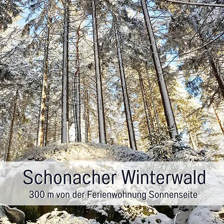 Sonnenseite Schonach - Private Sauna - 2 Schlafzimmer - Mehr Privatsphaere 아파트 Schonach im Schwarzwald