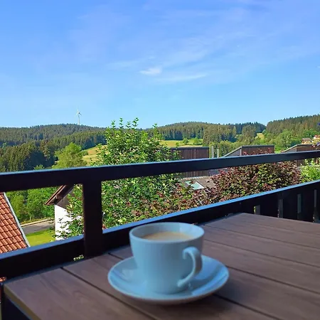 Apartman Sonnenseite Schonach - Private Infrarot-sauna - Schwarzwald-panoramablick - 2 Separate Schlafzimmer - Ruhige Lage Am Waldrand
