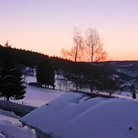 Sonnenseite Schonach - Private Infrarot-sauna - Schwarzwald-panoramablick - 2 Separate Schlafzimmer - Ruhige Lage Am Waldrand Apartmán Schonach im Schwarzwald